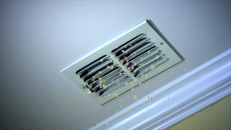 Best Dryer Vent Cleaning Services  in Lake Ripley, WI