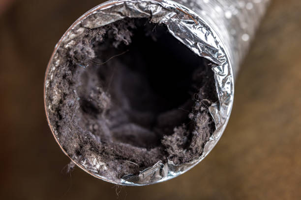 Best Air Duct Cleaning Near Me  in Lake Ripley, WI