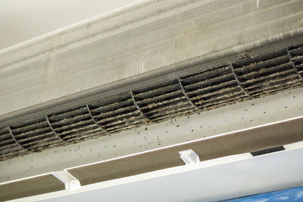 Best Air Vent Cleaning Services  in Lake Ripley, WI