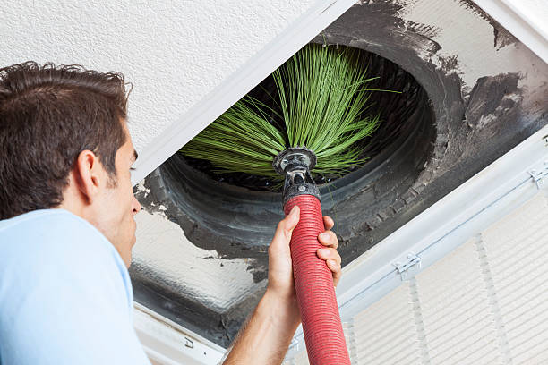 Best Air Duct Mold Removal  in Lake Ripley, WI