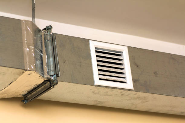Best Affordable Air Duct Cleaning  in Lake Ripley, WI